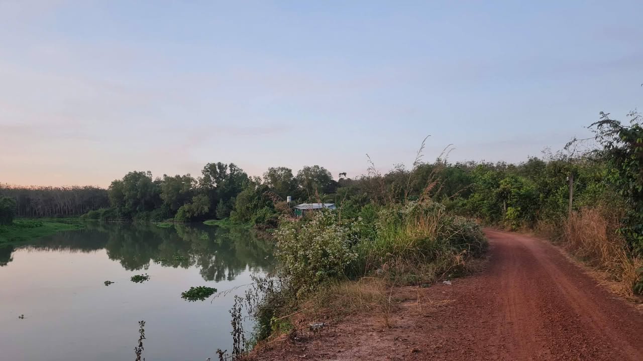 Đất nền Thanh An Dầu Tiếng 10.000m² giá 13.5 tỷ - Mặt tiền sông Sài Gòn