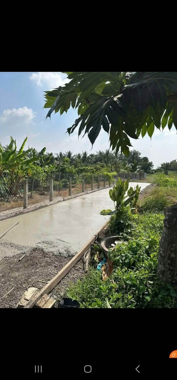 Đất nền Tân An 165m² giá 600 triệu - Đầu tư sinh lời ngay lập tức!