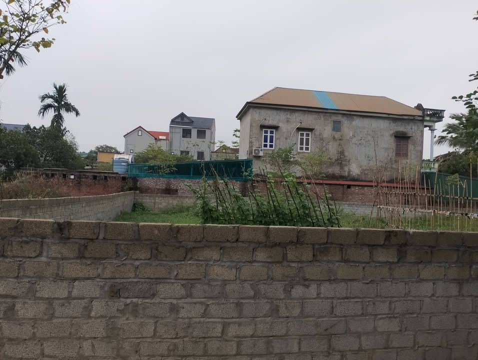 Đất nền Bảo Yên, Thanh Thủy 203m² - Tiềm năng đầu tư lớn!