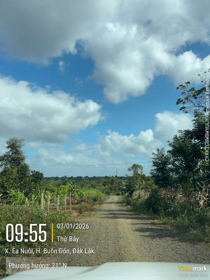 Đất thổ cư Ea Nuôl, Buôn Đôn 2100m² giá 1.65 tỷ - Cơ hội đầu tư tuyệt vời!