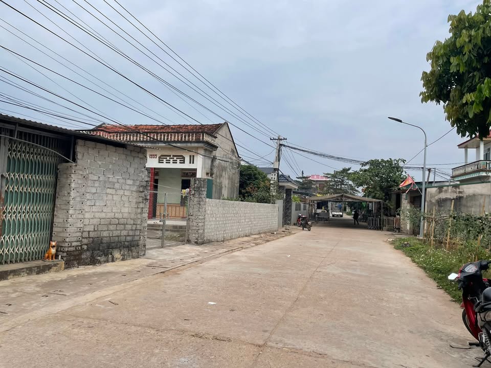 Đất mặt đường Quốc lộ 31 Lục Ngạn 194m² giá 1 tỷ - Đầu tư sinh lời ngay!