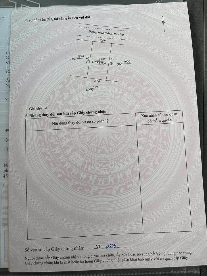 Đất nền Thôn 5 Lý Trạch 129m² giá chỉ 500 triệu - Đầu tư sinh lời ngay!