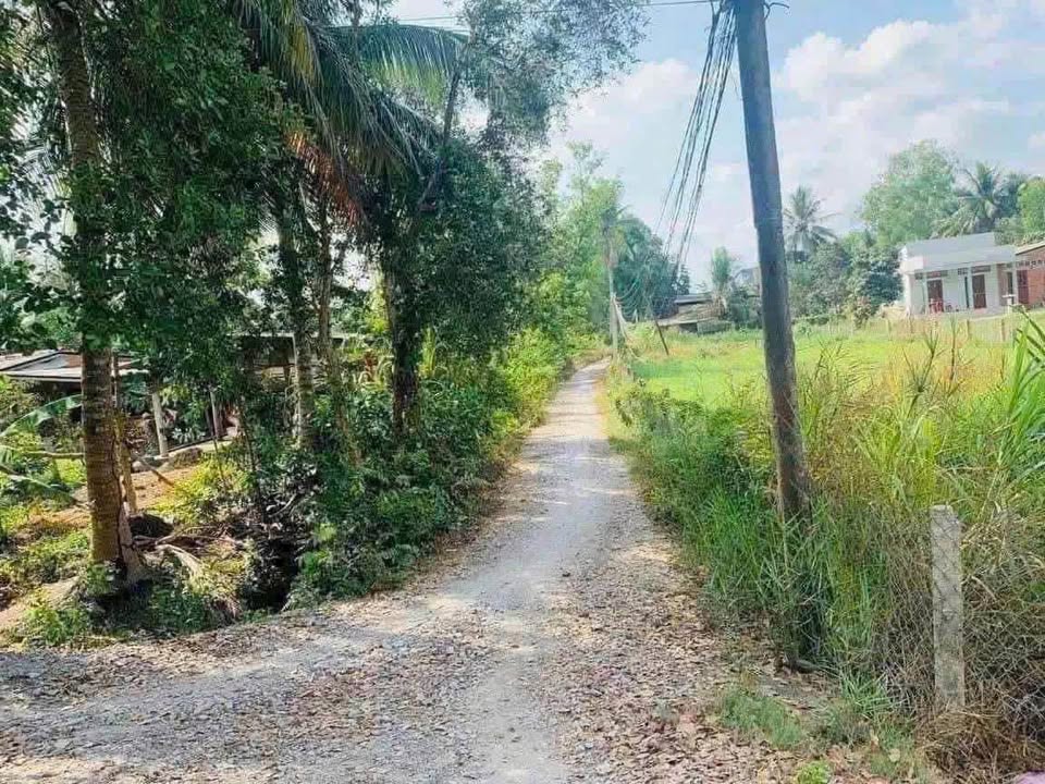 Đất lúa ấp 1, xã Hướng Thọ Phú, Tân An 800m² giá 800 triệu - Sẵn sàng giao dịch!