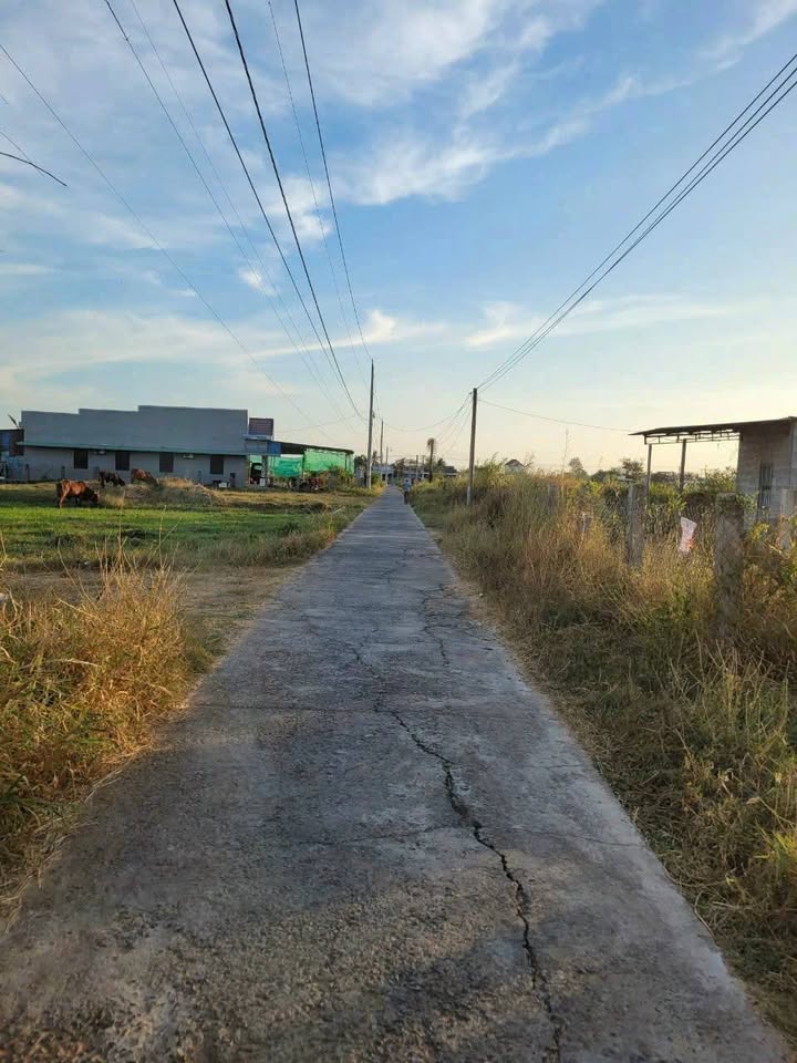 Đất CLN thôn Kim Bình, Hàm Thắng, Phan Thiết 1500m² - Giá tốt đầu tư!