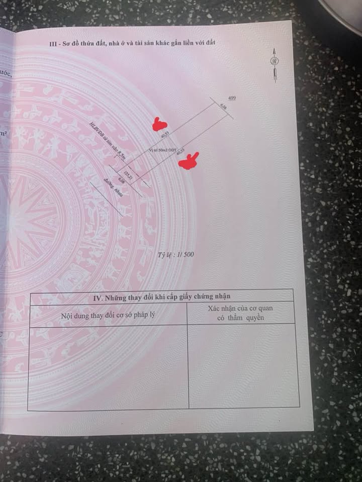 Đất nền Tiến Thành, Đồng Xoài 1200m² - Đường nhựa, dân cư đông đúc!