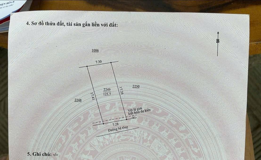 Đất nền Hòa Tiến Đà Nẵng 124.1m² giá 1.2 tỷ - Đường thông ô tô vi vu!