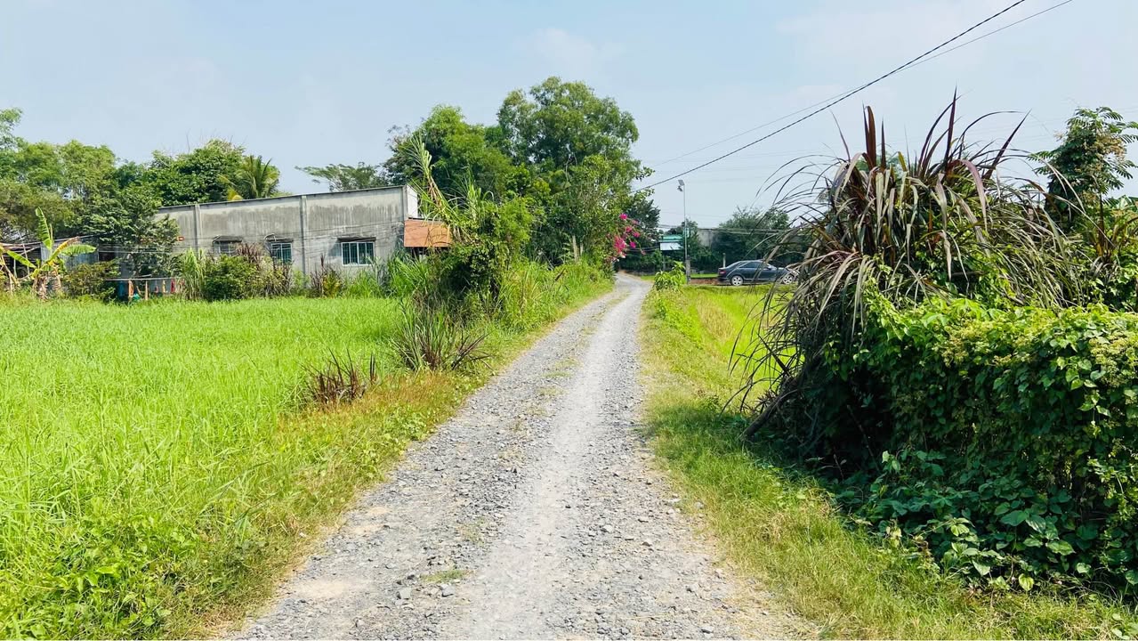 Đất thổ cư Hậu Nghĩa, Đức Hòa 1015m² giá 2.6 tỷ - Cơ hội đầu tư tuyệt vời!