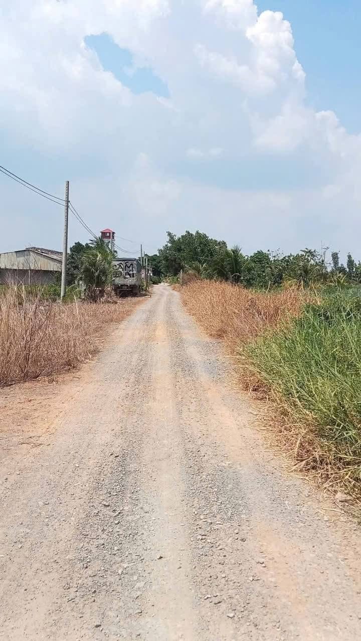 Đất vườn Thạnh Lợi Bến Lức 13000m² giá 5.2 tỷ - Tặng ngay 700 gốc mít