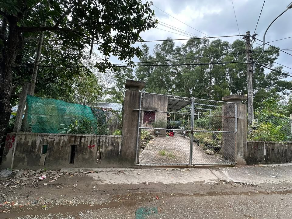 Đất nền mặt tiền Hoàng Thị Loan 210m² giá 22 triệu/m² - Pháp lý rõ ràng, sẵn sàng đầu tư!