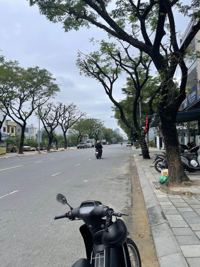 Đất nền Thành Vinh 4, Sơn Trà, Đà Nẵng 92.5m² giá 9.1 tỷ - Tiềm năng khai thác cao!