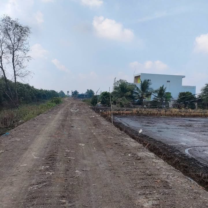 Đất lúa Tân Thành Thủ Thừa 9200m² giá 8 tỷ - Đường 6m sắp hoàn thiện!