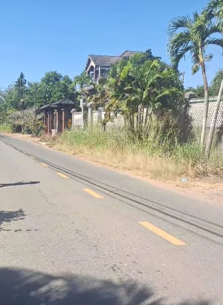 Đất thổ cư 2000m² mặt tiền đường Bến Súc, Củ Chi - Giá chỉ 12 tỷ!