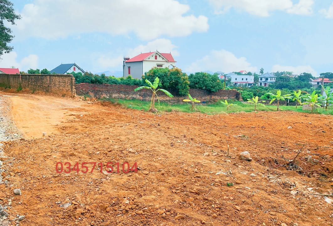 Đất nền Lục Nam 110m² giá thỏa thuận - Đường thông, gần chợ và trường học