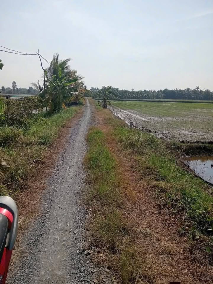 Lô Đất Ngang 39 x 55 Tại Tân Phú, Đức Hòa - Sổ Đỏ Chính Chủ 3.35 Tỷ