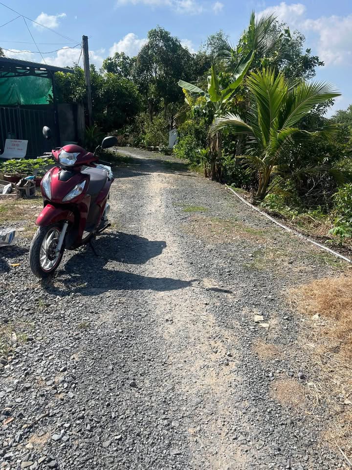 Đất nền Nhị Mỹ, Cao Lãnh 160m² giá 530 triệu - Sổ đỏ chính chủ!