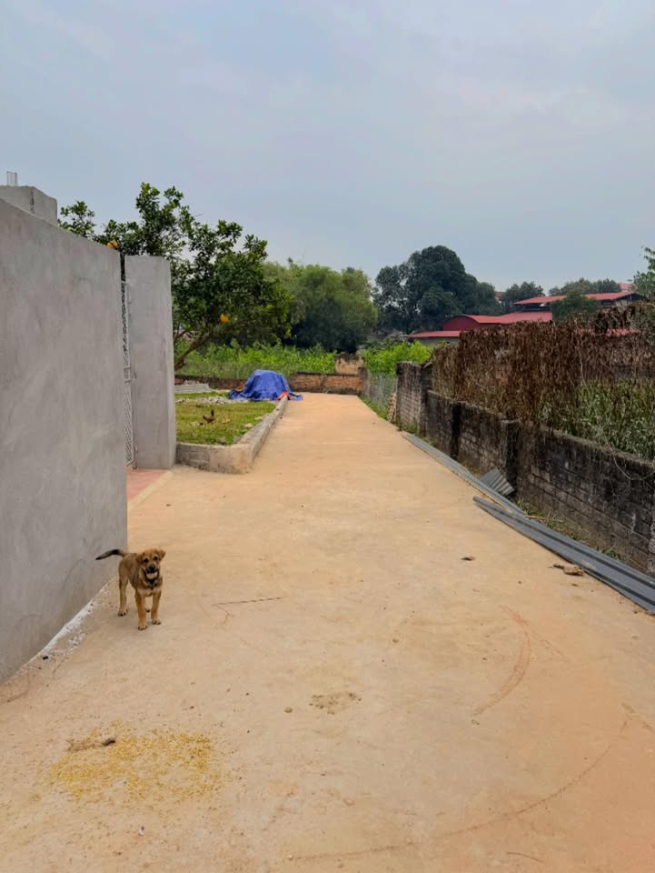 Đất Tân Đức - Phú Bình 300m² giá chỉ 1 tỷ - Vị trí đắc địa gần chợ