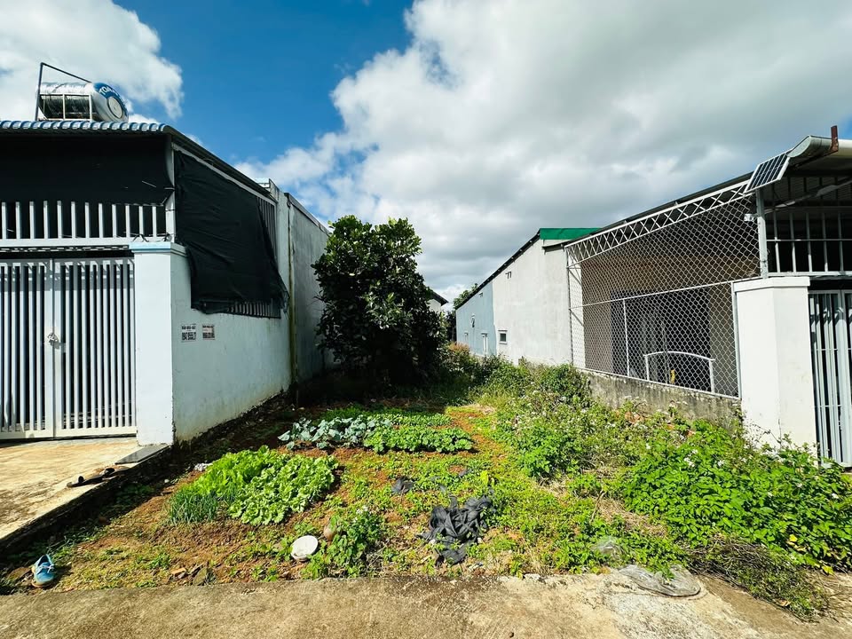 Đất nền hẻm C1 thôn Cao Thành, phường Ea Kao 147m² giá 1.199 tỷ - Cơ hội đầu tư hấp dẫn!