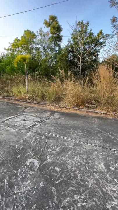 Đất nền Suối Đá Phú Quốc 100m² giá 1.3 tỷ - Thế đất cao, đường rộng