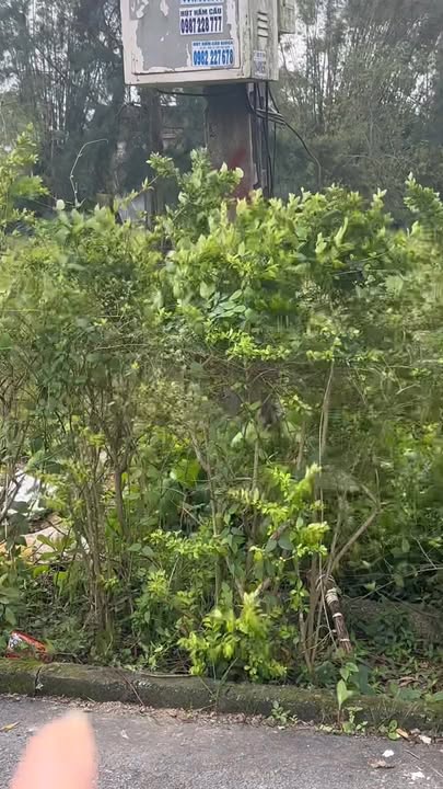 Đất dự án T&T Thạch Bình 129m² giá thỏa thuận - Cơ hội đầu tư hấp dẫn!