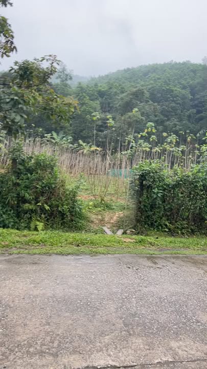 Đất thổ cư thôn Chế Biến, Sơn Kim 2, Hương Sơn 910m² - Mặt tiền Quốc lộ 281, sẵn sàng đầu tư!