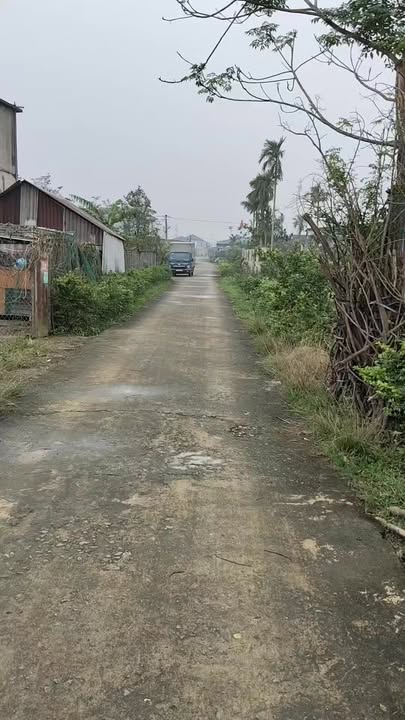 Đất thổ cư Tân Vĩnh Cần, Cẩm Thành 224m² giá 1 tỷ - Sổ đỏ chính chủ!