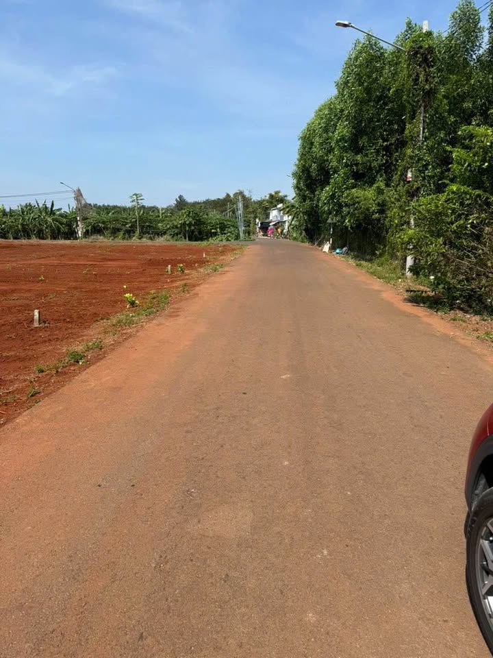 Đất nền Long Phước 300m² giá 2 tỷ - Sổ hồng riêng, đường nhựa rộng thoáng!