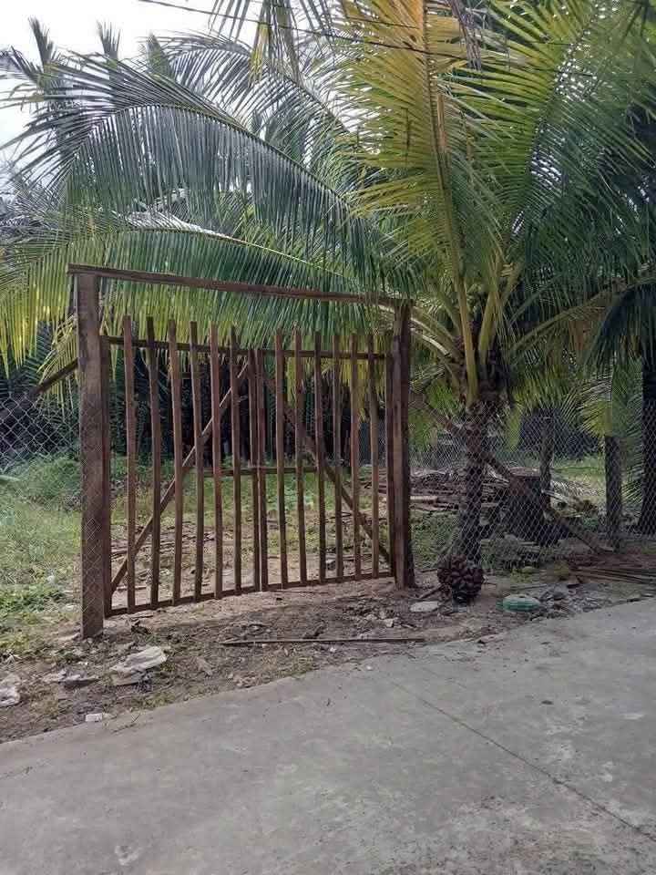 Đất thổ cư Châu Hòa, Giồng Trôm 118m² giá 390 triệu - Đường rộng thông thoáng!