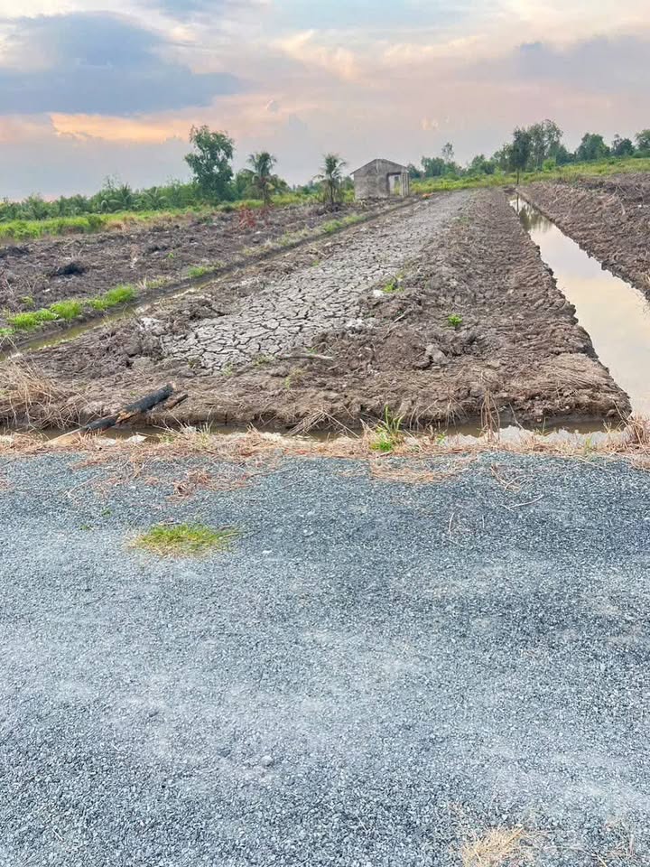 Đất vườn Thạnh Hòa, Bến Lức 1015m² giá 690 triệu - Đầu tư sinh lời lý tưởng!