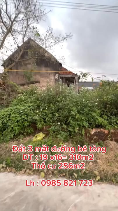 Đất thổ cư Nghĩa Phú 310m² giá 700 triệu - Bán gấp, thương lượng ngay!