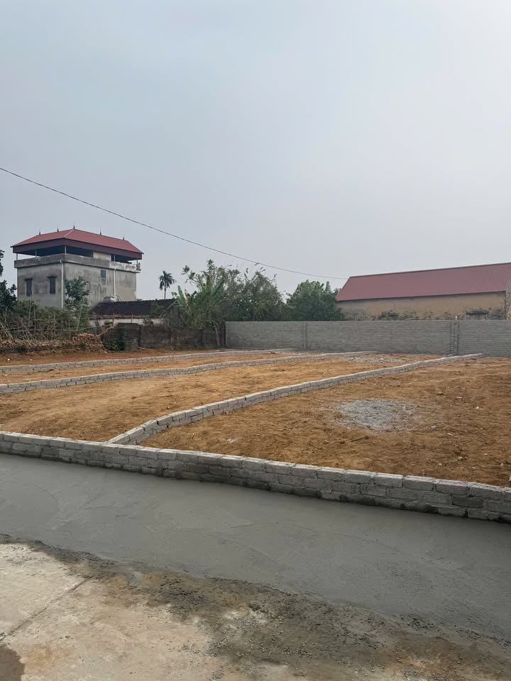 Lô đất vàng 100m² tại Lan Mẫu, Lục Nam - Đầu tư sinh lời ngay!