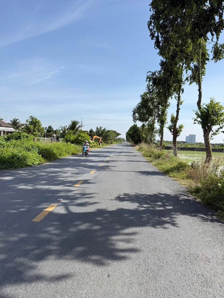 Đất mặt tiền đường tỉnh 919, xã Đông Thuận, 5008m² - Giá tốt thương lượng!