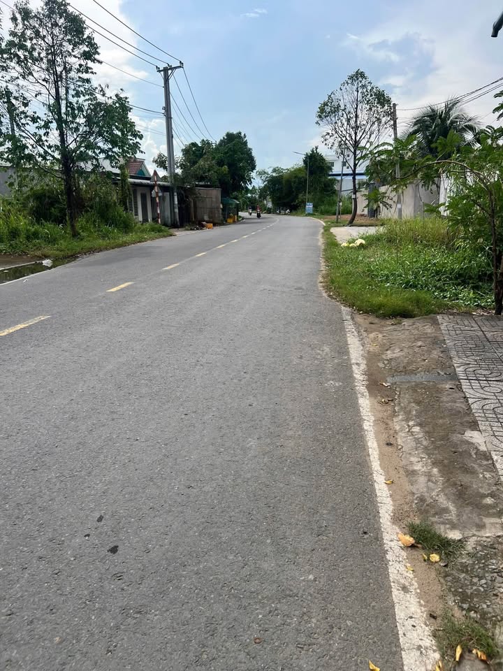 Nhà mái thái vườn mặt tiền Trương Vĩnh Nguyên - 281,6m² giá 4 tỷ - Không gian xanh thoáng đãng!