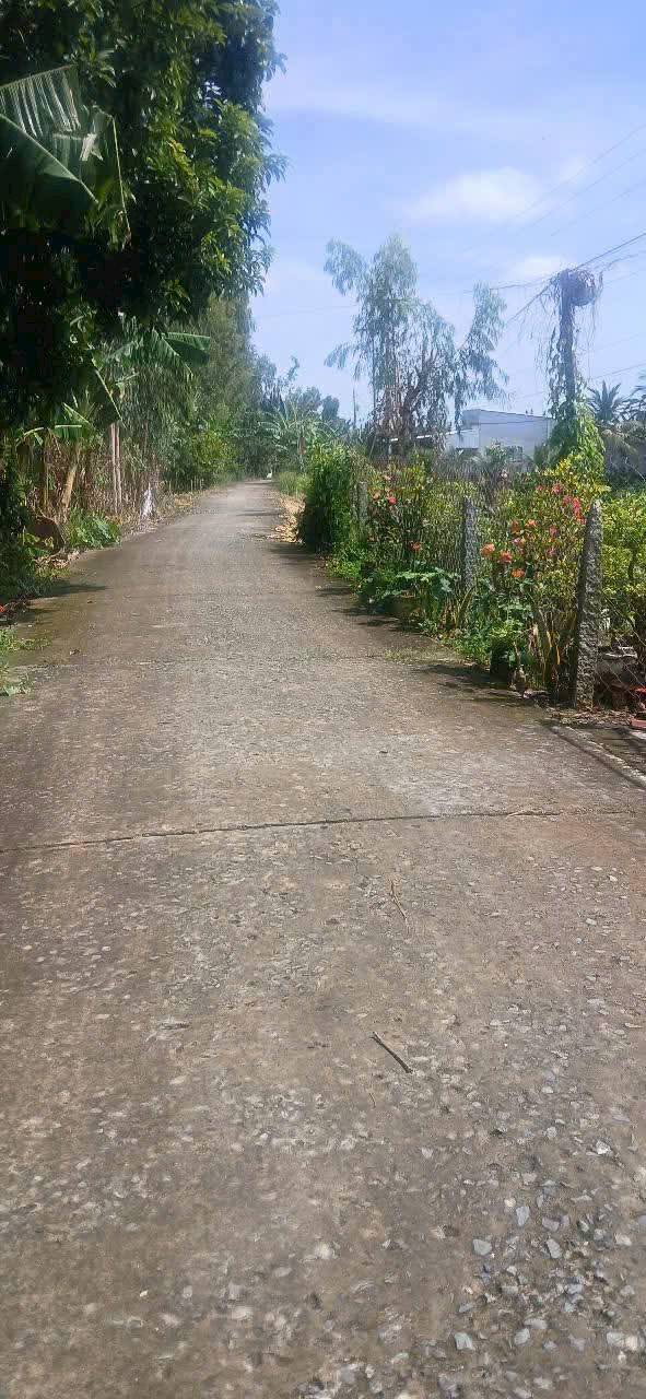 Đất nông nghiệp tại Mỹ Trà, Đồng Tháp 6748m² - Cơ hội đầu tư hấp dẫn!