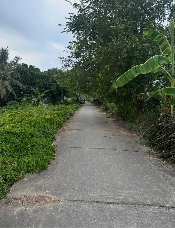 Đất nền mặt tiền Kênh Quản Khuôn, Sóc Trăng 1248m² giá 100 triệu - Cơ hội đầu tư hấp dẫn!