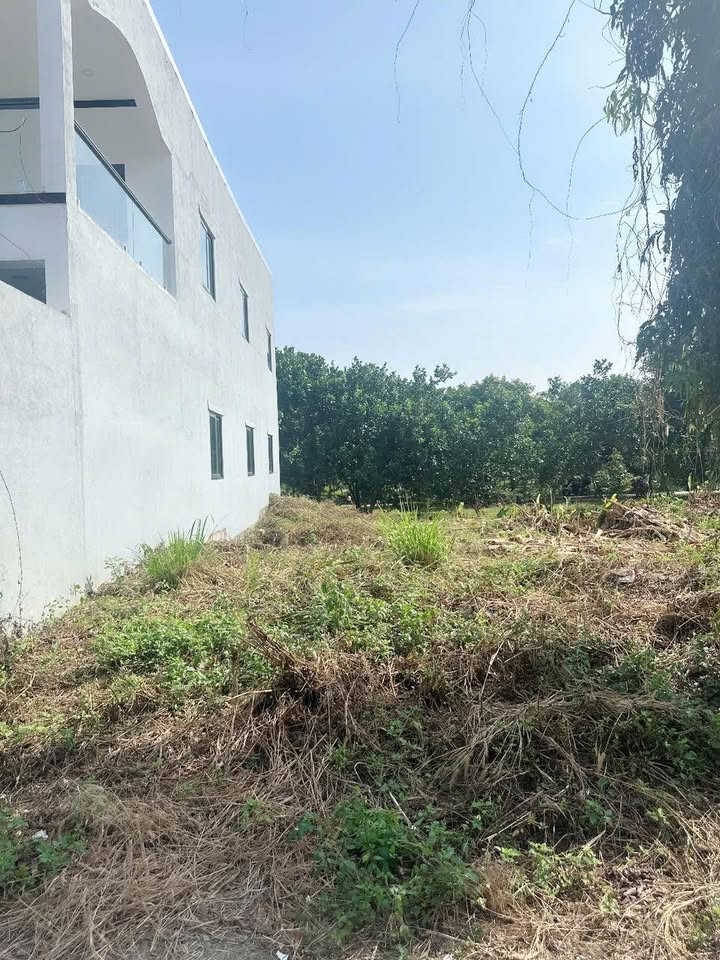 Đất thổ cư Khang Thịnh 2, Bình Lộc, Long Khánh 105m² chỉ 300 triệu - Đầu tư sinh lời ngay!