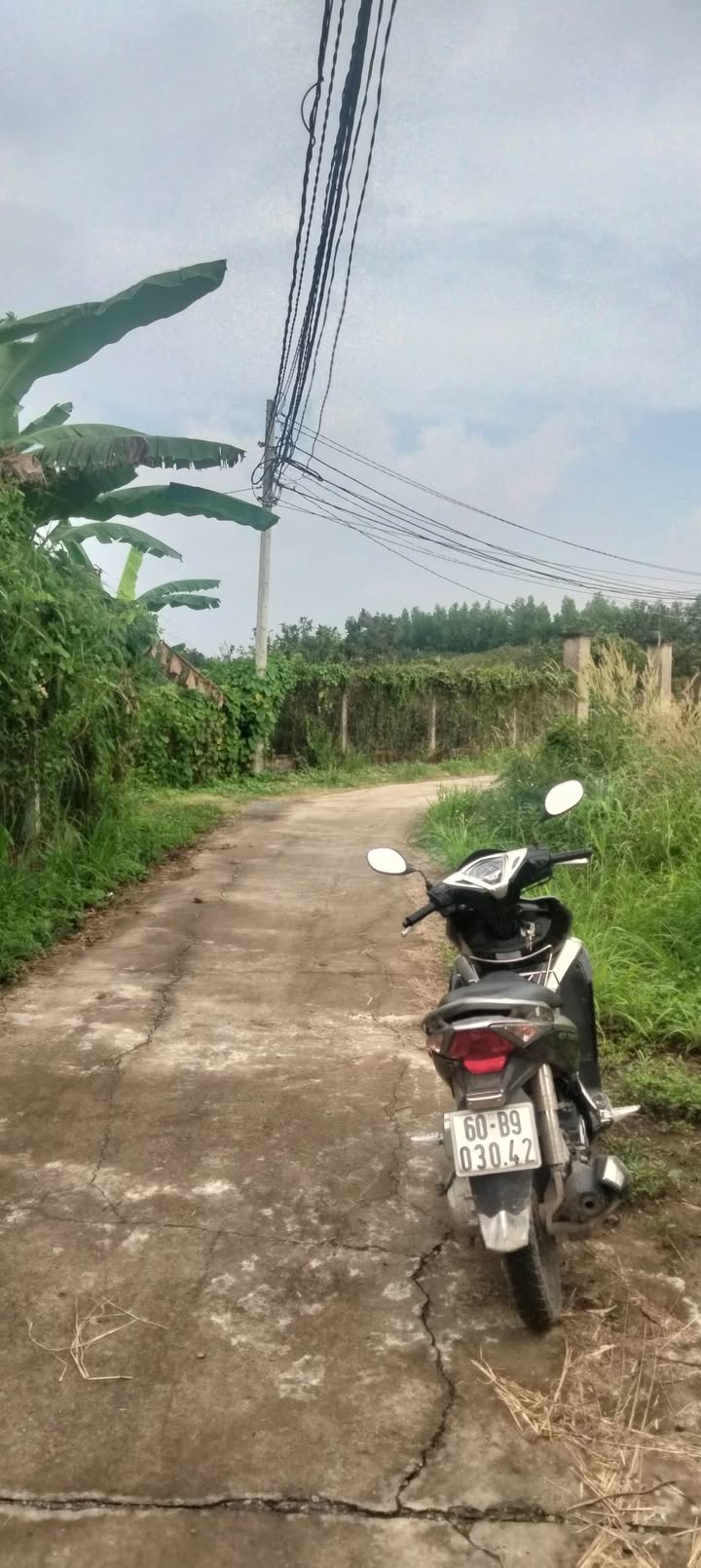 Đất cây lâu năm 7300m² tại phường Tân Triều, Biên Hòa - Giá chỉ 10.8 tỷ