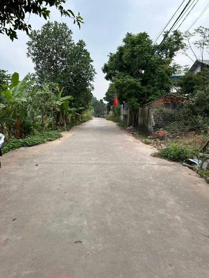 Đất thổ cư Tiền Phong Yên Dũng 117m² giá tốt - Cơ hội đầu tư hấp dẫn!