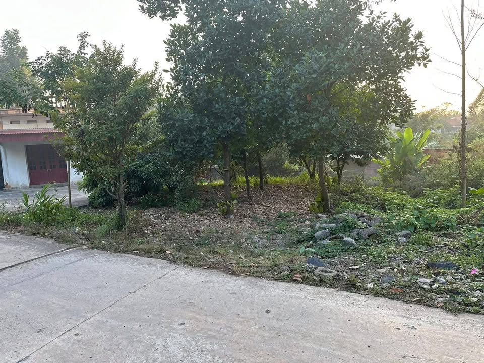 Đất nền chính chủ Hương Vĩ Yên Thế 150m² giá 700 triệu - Vị trí đắc địa gần chợ