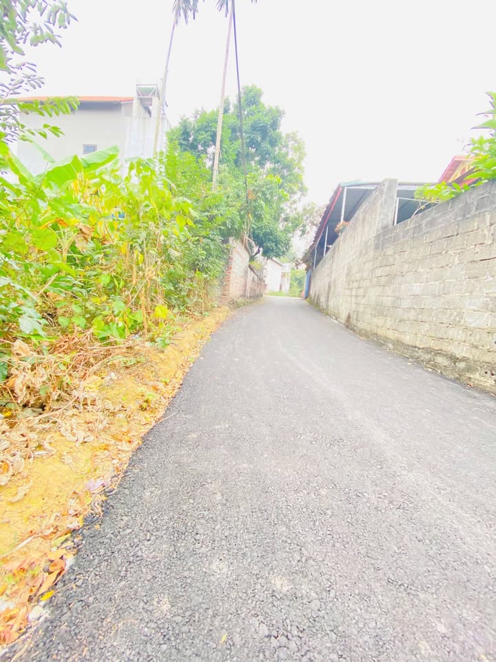 Đất nền Hương Sơn, Bình Xuyên 774m² giá 6 tỷ - Cơ hội đầu tư hấp dẫn!