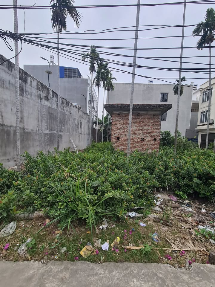 Đất thổ cư Đông Hải 2 244m² giá 7.32 tỷ - Mặt ngõ ô tô vào tận nơi!