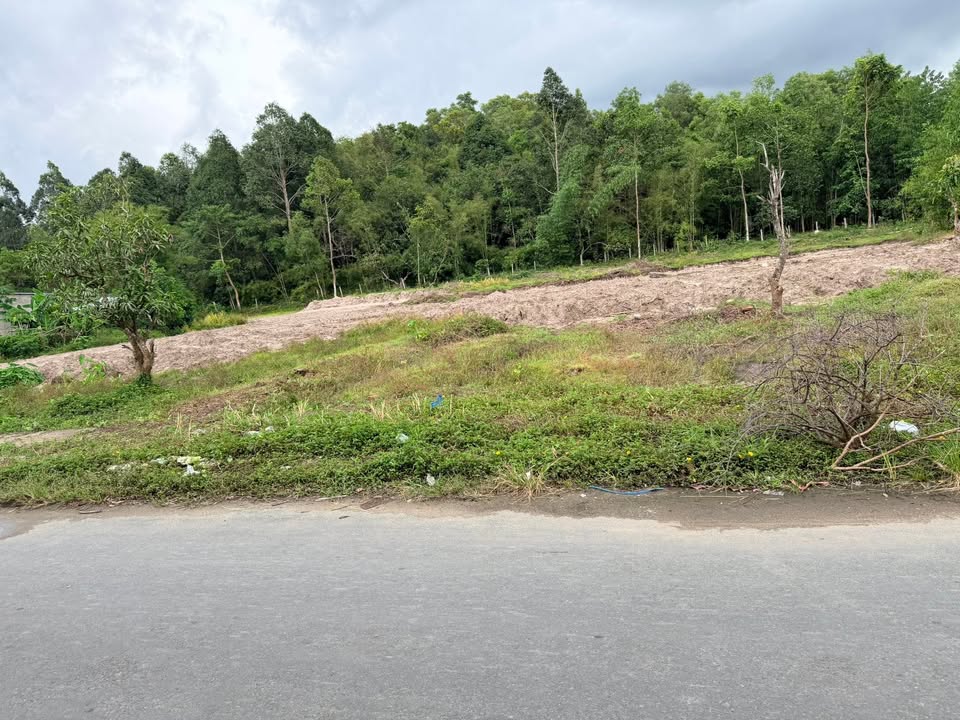 Đất nền An Tức Tri Tôn 5820m² - Mặt tiền Tỉnh lộ 959, giá thỏa thuận