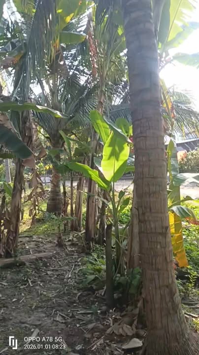 Đất nền Tịnh Biên An Giang 169m² giá chỉ 220 triệu - Cơ hội đầu tư hấp dẫn!