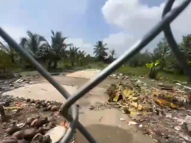 Đất sầu riêng 2 công 6 tại xã Phú An, huyện Cai Lậy - Giá chỉ 1.82 tỷ