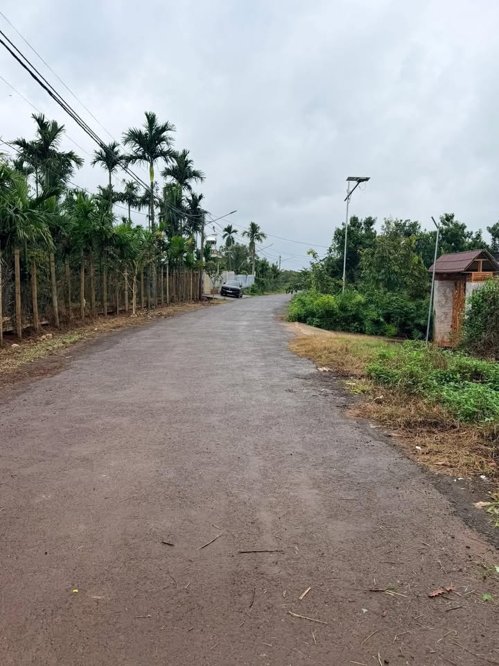 Đất mặt tiền đường Nguyễn Cư Trinh, Thiện An 175m² giá 1.289 tỷ - Cơ hội đầu tư tuyệt vời!