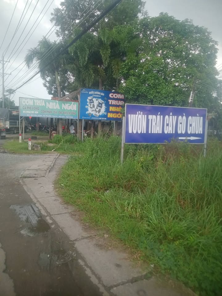 Đất nền Farm 5000m² tại Ấp Cây Da, Gò Dầu, Tây Ninh - Giá chỉ 1 tỷ, cơ hội đầu tư tuyệt vời!