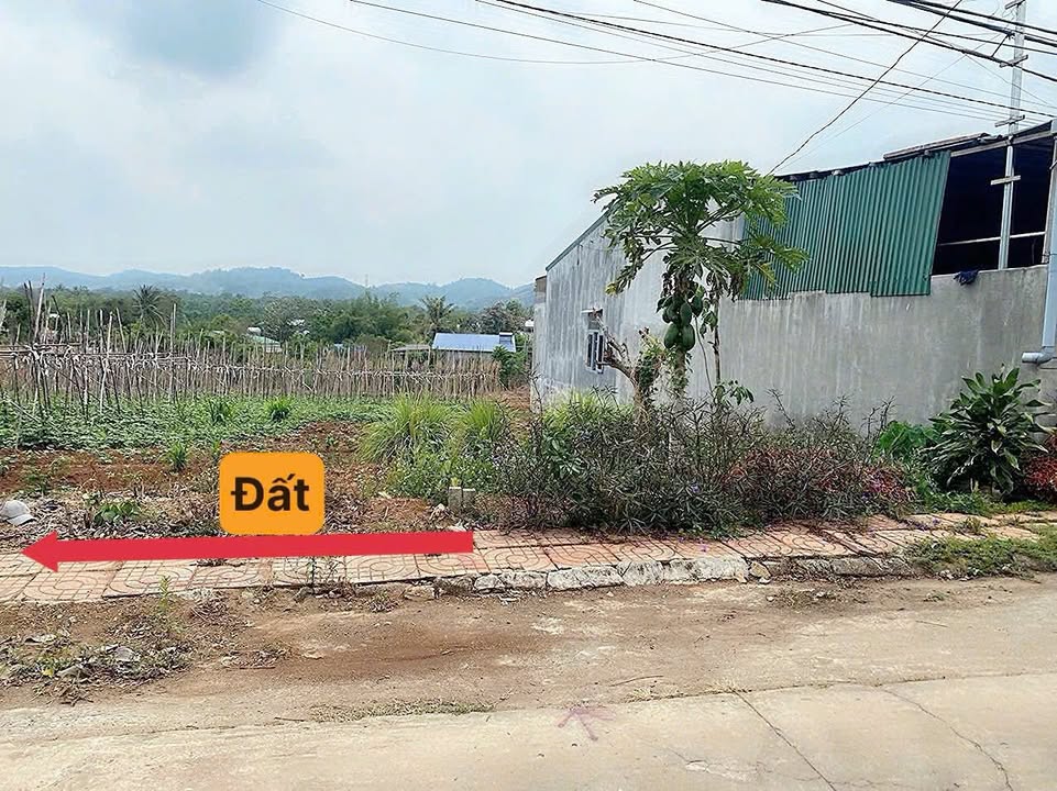 Đất thổ cư Ea Kao 135m² giá chỉ 539 triệu - Cơ hội đầu tư tốt!