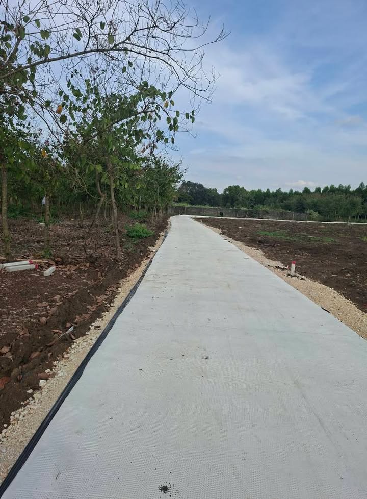 Đất nền Xuân Đông, Cẩm Mỹ, 1000m² giá 550 triệu - Đầu tư sinh lời ngay!