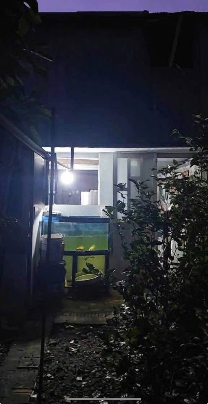 Nhà cấp 4 Bình Chuẩn 61 164m² giá 2 tỷ - Cơ hội đầu tư hấp dẫn!