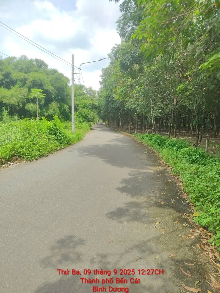Đất nền Bến Cát, Bình Dương 210m² giá 1.32 tỷ - Vị trí đẹp, kinh doanh thuận lợi!