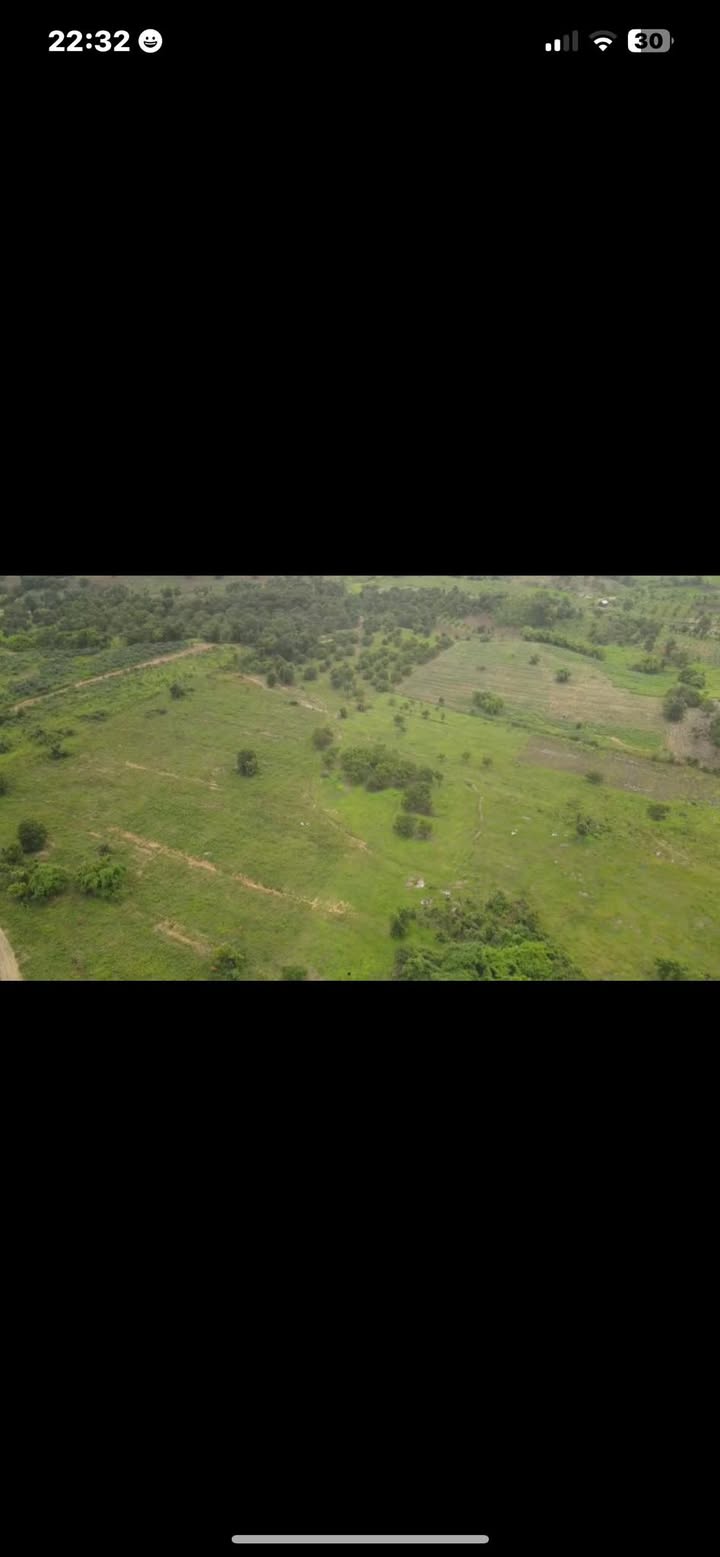 Farm 26ha Chư Pưh Gia Lai giá 1.8 tỷ - Pháp lý rõ ràng, không tranh chấp!